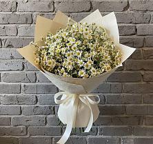 Букет цветов из:  Ромашки в Греческом