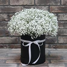 Цветочная композиция из Гипсофила в шляпной коробке в Греческом