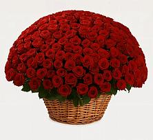 Премиум букет из: Розы #REPLACE_PRED# Греческом